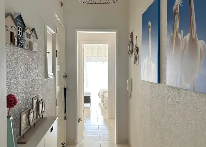 Appartement Sal&sol T1 *